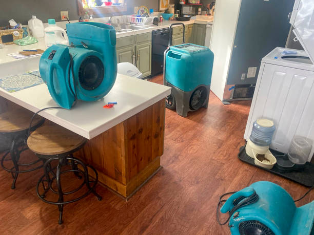 Best 24-hour water damage restoration  in Milton Freewater, OR