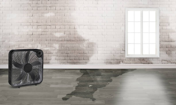 Best Flood restoration services  in Milton Freewater, OR