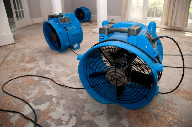 Best 24/7 water damage repair  in Milton Freewater, OR