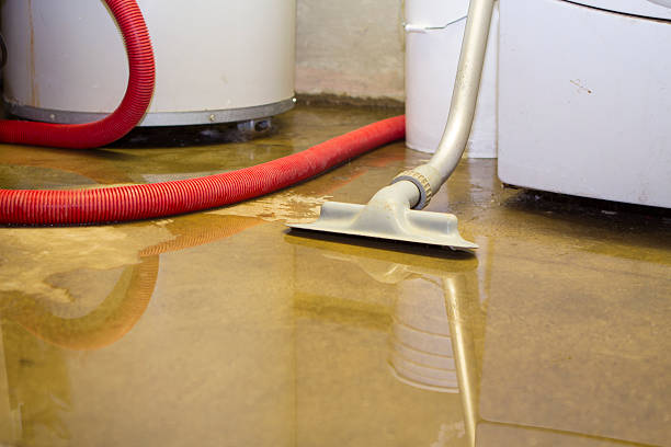 Best Carpet water damage restoration  in Milton Freewater, OR