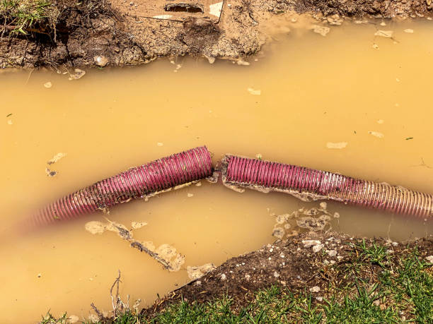 Best Emergency water damage restoration  in Milton Freewater, OR
