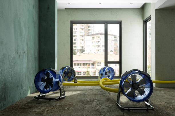 Best Mold removal after water damage  in Milton Freewater, OR